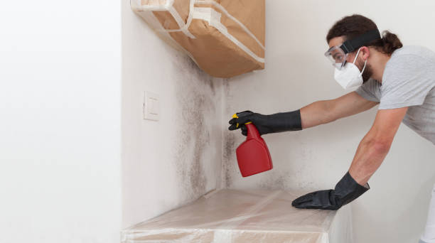 Professional Basement Mold Removal technician working in Farmington, MN